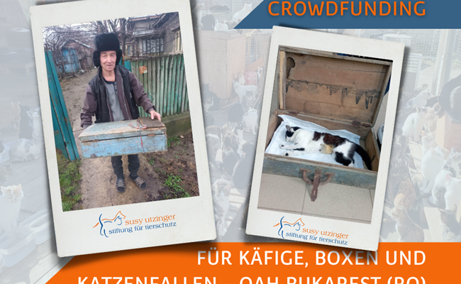 Crowdfunding Transportboxen OAH Bukarest
